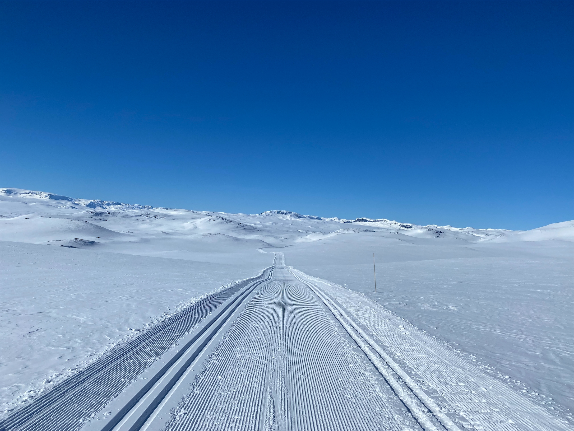 Skitur langs Reineskarvet. Foto: Inger Lervåg